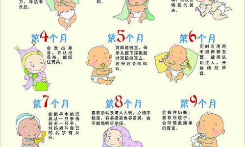 婴儿肉松哪个牌子好-婴儿肉松怎么吃法大全网 - 网站提供婴儿肉松怎么做小常识、婴儿肉松制作指南