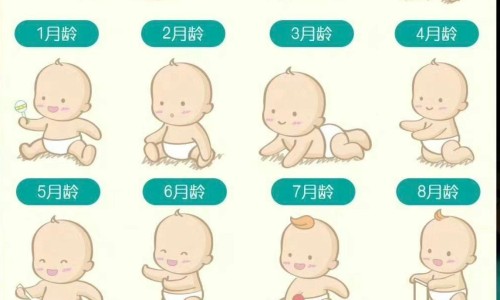 婴儿肉松做法视频教程-婴儿肉松怎么吃法大全网 - 网站提供婴儿肉松怎么做小常识、婴儿肉松制作指南